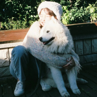 氛围感+小动物头像合集 把治愈系温柔焊在社交账号