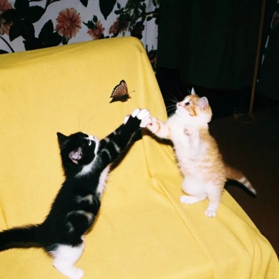 2025Recraft风头像合集 复古像素与梦幻渐变的神仙碰撞