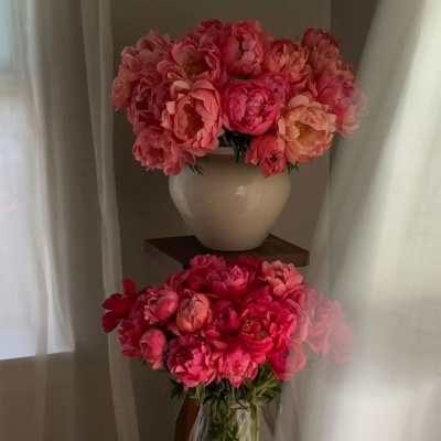 签名一换气场拉满 我的置顶文案就是互联网身份证