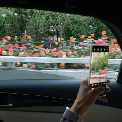 成年人朋友圈文案图鉴 不动声色的成熟感藏在这些句子里