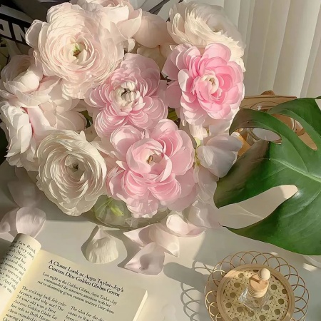 美到失语的漂亮花花微信图片 一键点亮你的界面