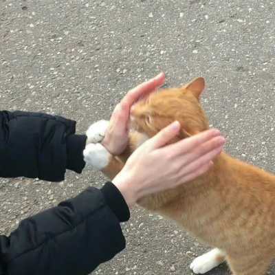 2025抖音爆款文案模版 3秒抓住眼球的神操作