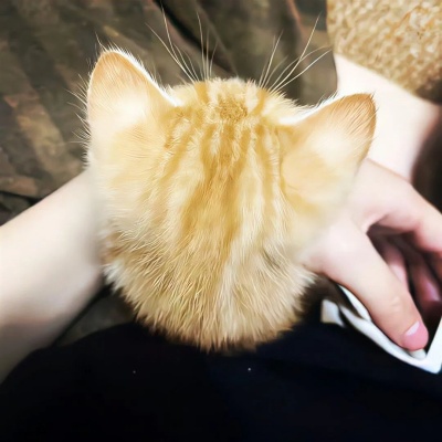 备忘录里压箱底的小众ID 私藏曝光独特到尖叫