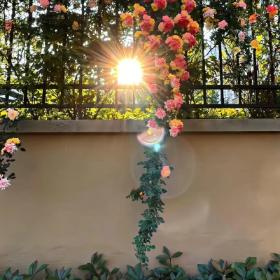 六字道尽人生苦 2025那些让人破防的微信ID合集