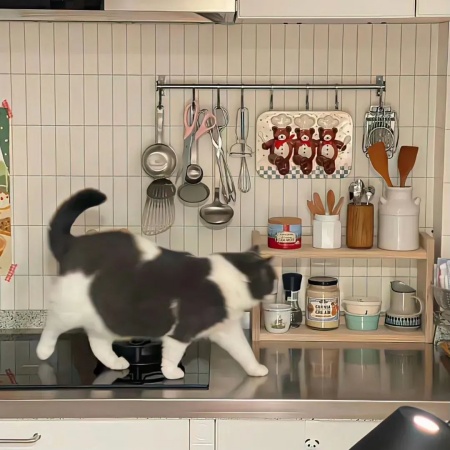 爱到不想换 私藏级朋友圈背景图赶快来看