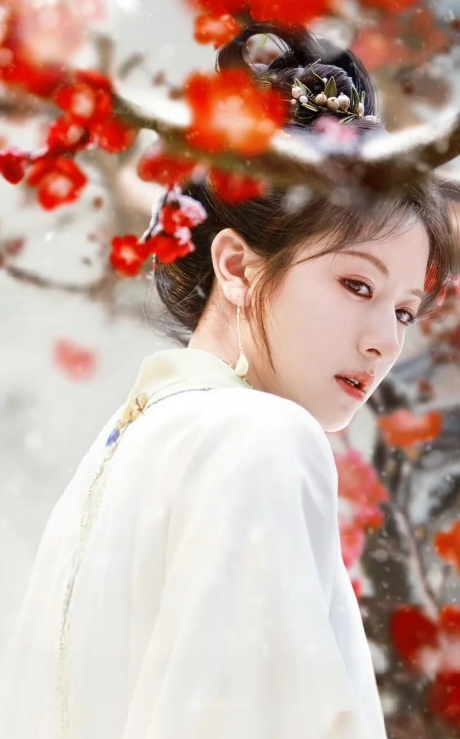 《朝雪录》爆火壁纸合集来了 每一帧都是古风美学