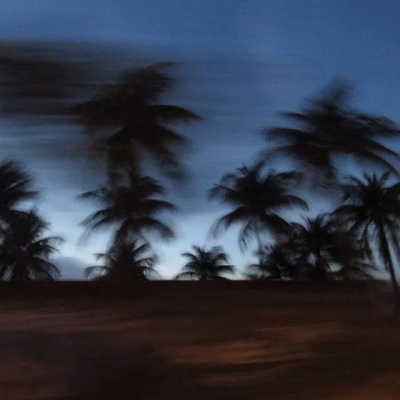 爸妈专属文艺网名 大气优雅不落俗套