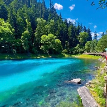 2025九寨沟夏日实拍 无滤镜的蓝绿仙境美到失语