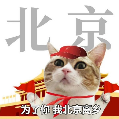 旅行大片已就位 “为景改签”式文案刷屏预警