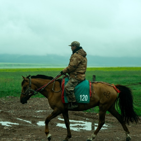 奔赴远山与草原 解锁牛马同款自由秘境图片