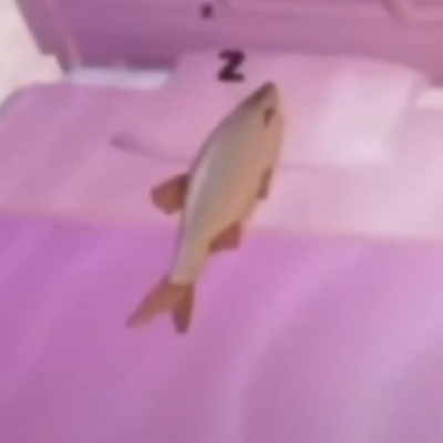 基础表情包？不存在的！超绝表情包大赏来袭