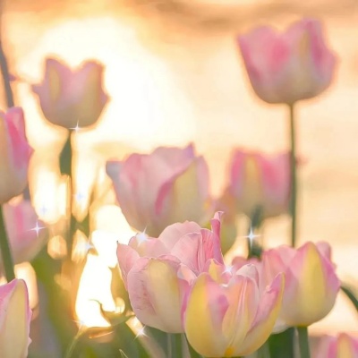 大格局 + 淡定人生 个性签名文案太戳心了