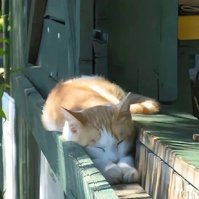 实用销售朋友圈文案 不生硬更显专业与温度