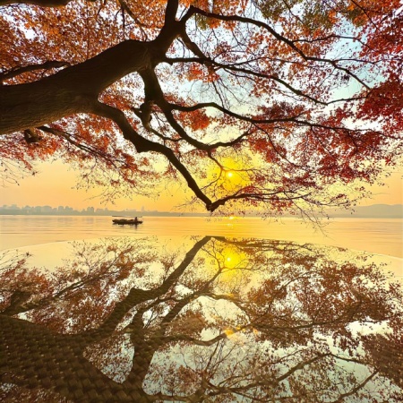 杭州西湖 | 一眼万年的湖光山色绝美图集