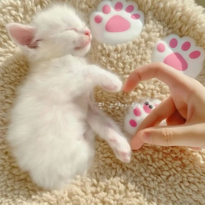  有趣家庭群名灵感合集 自带温馨又超有梗