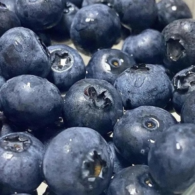 蓝莓主题昵称合集 好听到爆还自带清甜感