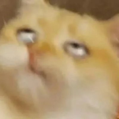 万能回复表情包分享 拯救尬聊的救场神器