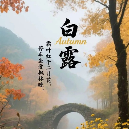 2025白露节气单图推荐 一秒提升朋友圈质感