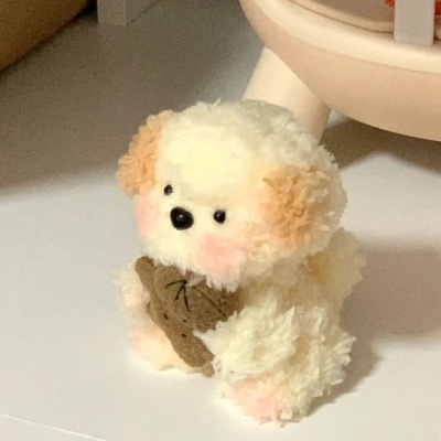 小众网名指南 绝不撞款的宝藏ID合集