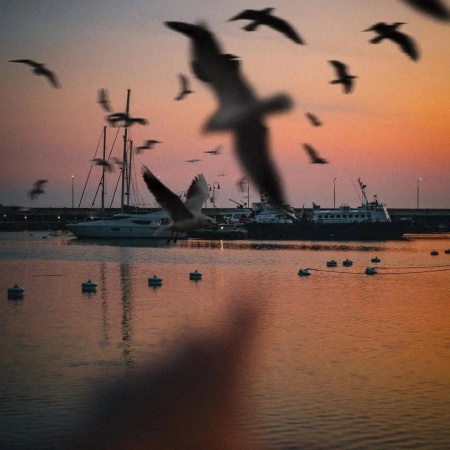 大神摄影集 看见肉眼忽略的世间浪漫