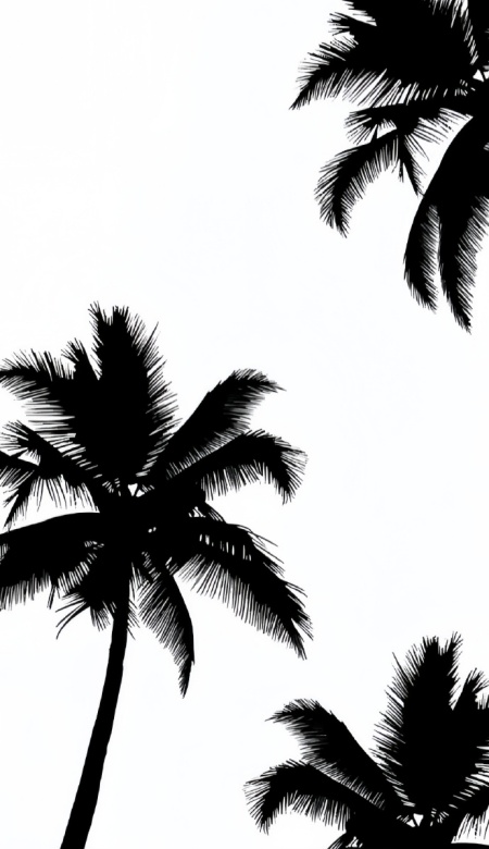 极简风壁纸推荐 给屏幕做减法的高级美学