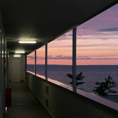 2025植物系微信昵称 适配喜欢自然风的你