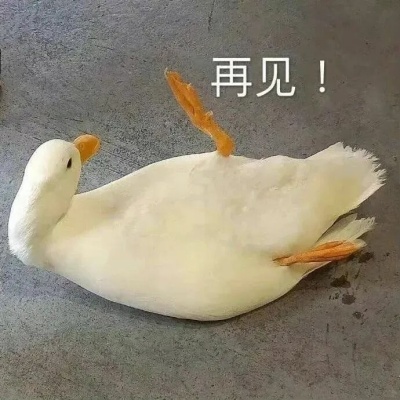 软萌治愈又有梗小鸭子表情包合集 聊天氛围神器