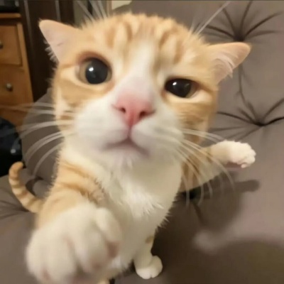 超旺自己的签名文案 解锁好运Buff加持