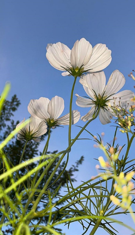 治愈系蓝色系风景壁纸 把天空与温柔焊在屏幕上