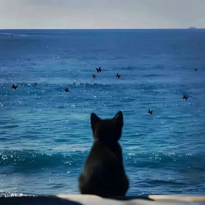 1750920161549609.jpg 1.jpg