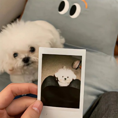 1750993497410933.jpg 10.jpg