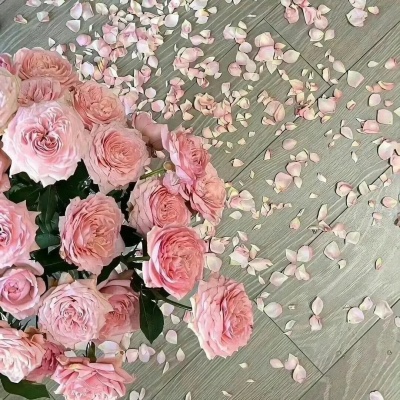 1751250777278624.jpg 6.jpg