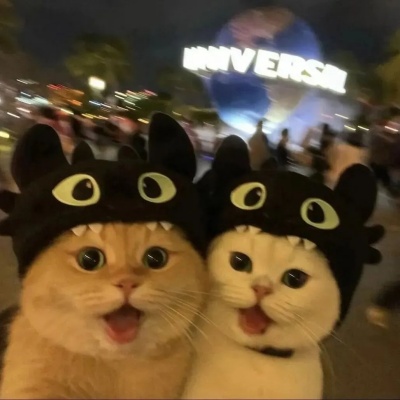 1751254596868447.jpg 7.jpg