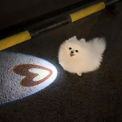 1751254608327729.jpg 8.jpg