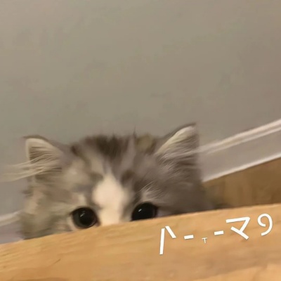 1751860023287776.jpg 16.jpg