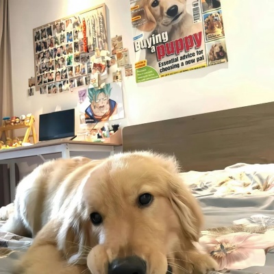 1752024717637712.jpg 2.jpg