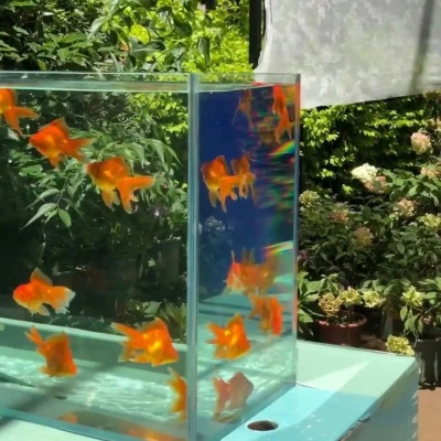 1752028635513251.jpg 8.jpg