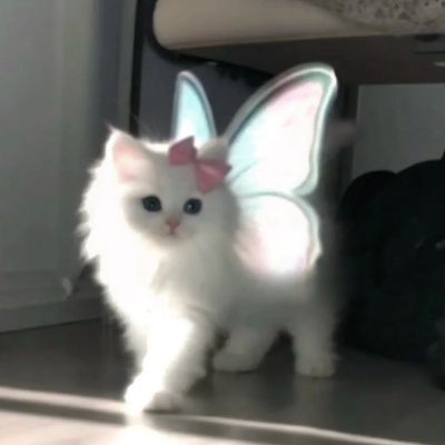 1752286546168095.jpg 640 (10).jpg