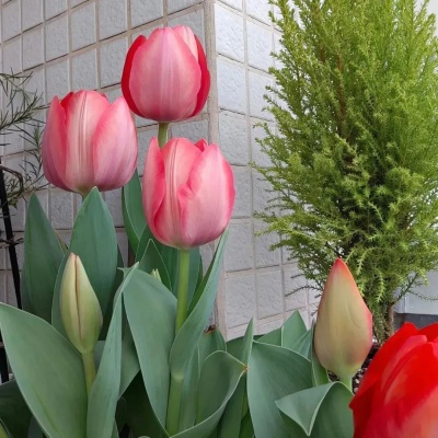 1752457778631689.jpg 640 (8).jpg