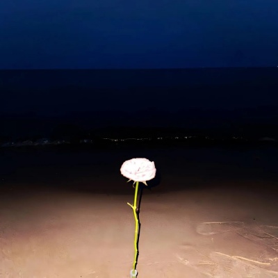 1752543305619416.jpg 640 (7).jpg