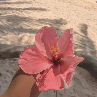 1753510398999571.jpg 640 (4).jpg