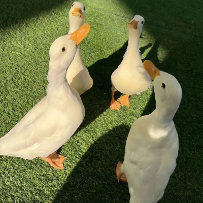 1753692577938483.jpg 640 (2).jpg