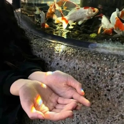 1753767015605779.jpg 640.jpg