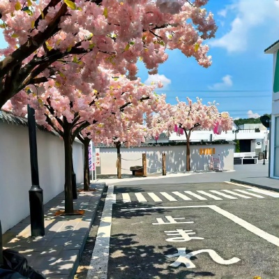 1753863986817355.jpg 640 (7).jpg