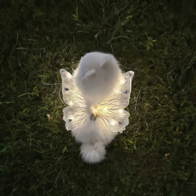 1754288662325738.jpg 640 (7).jpg