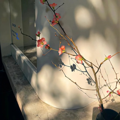 1754296101388463.jpg 640 (11).jpg