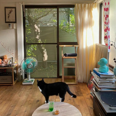 1754545958104111.jpg 640 (3).jpg