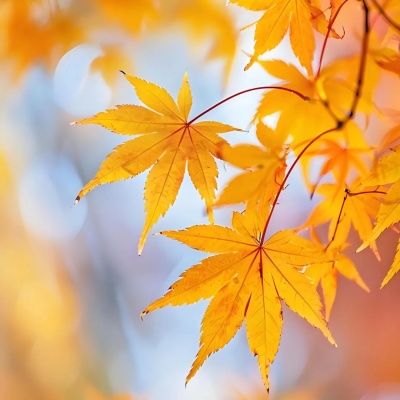 1754552334385707.jpg 640 (5).jpg