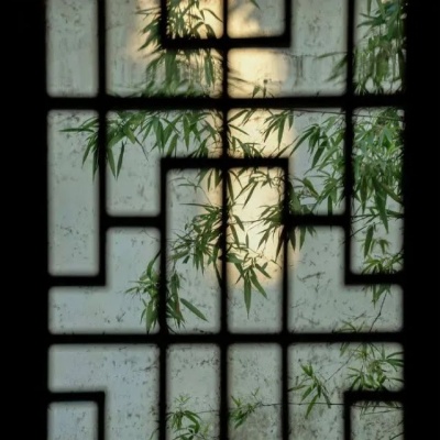 1754556579609885.jpg 640 (1).jpg