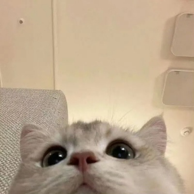 1754894599711983.jpg 640.jpg